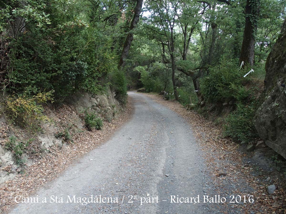 Monestir de Santa Magdalena de Conangle-2ª Part del camí