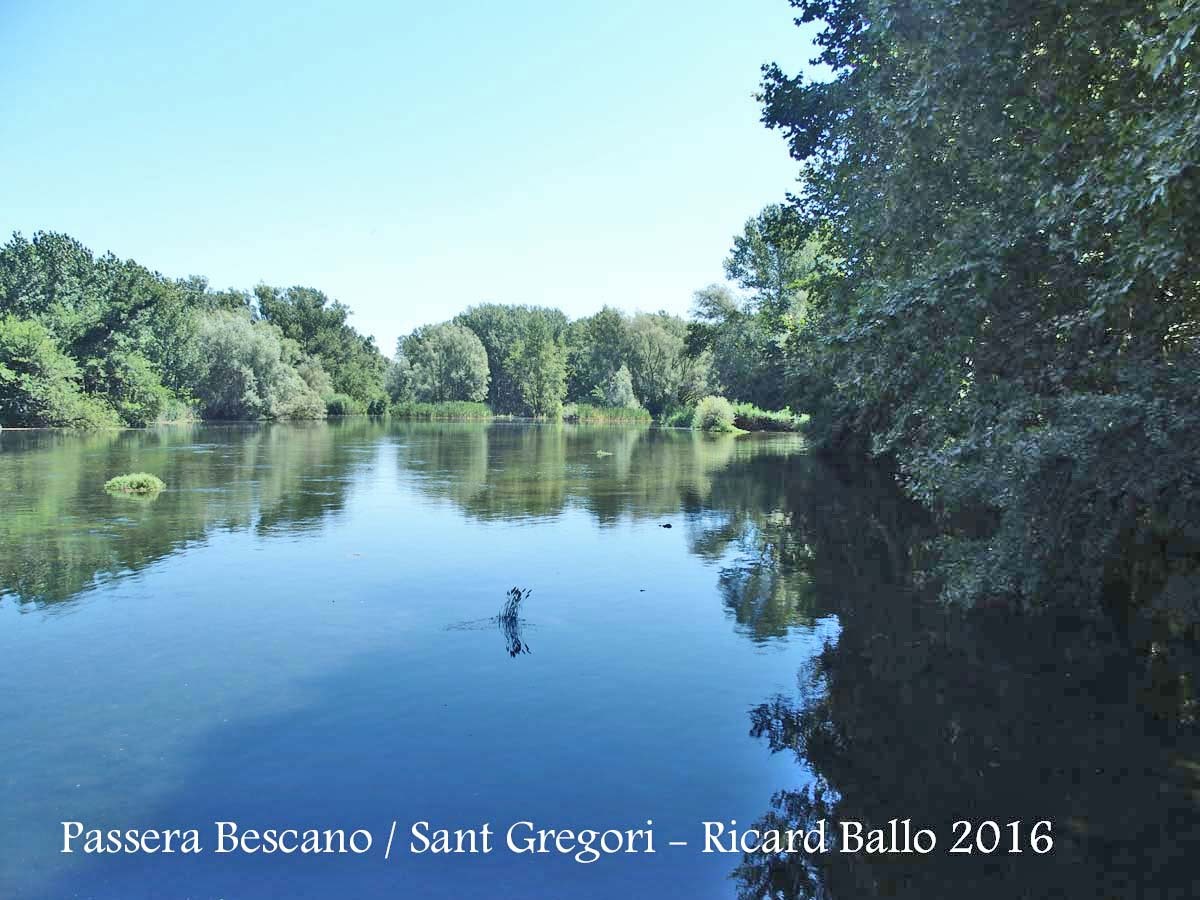 Passera entre Sant Gregori i Bescanó – Bescanó