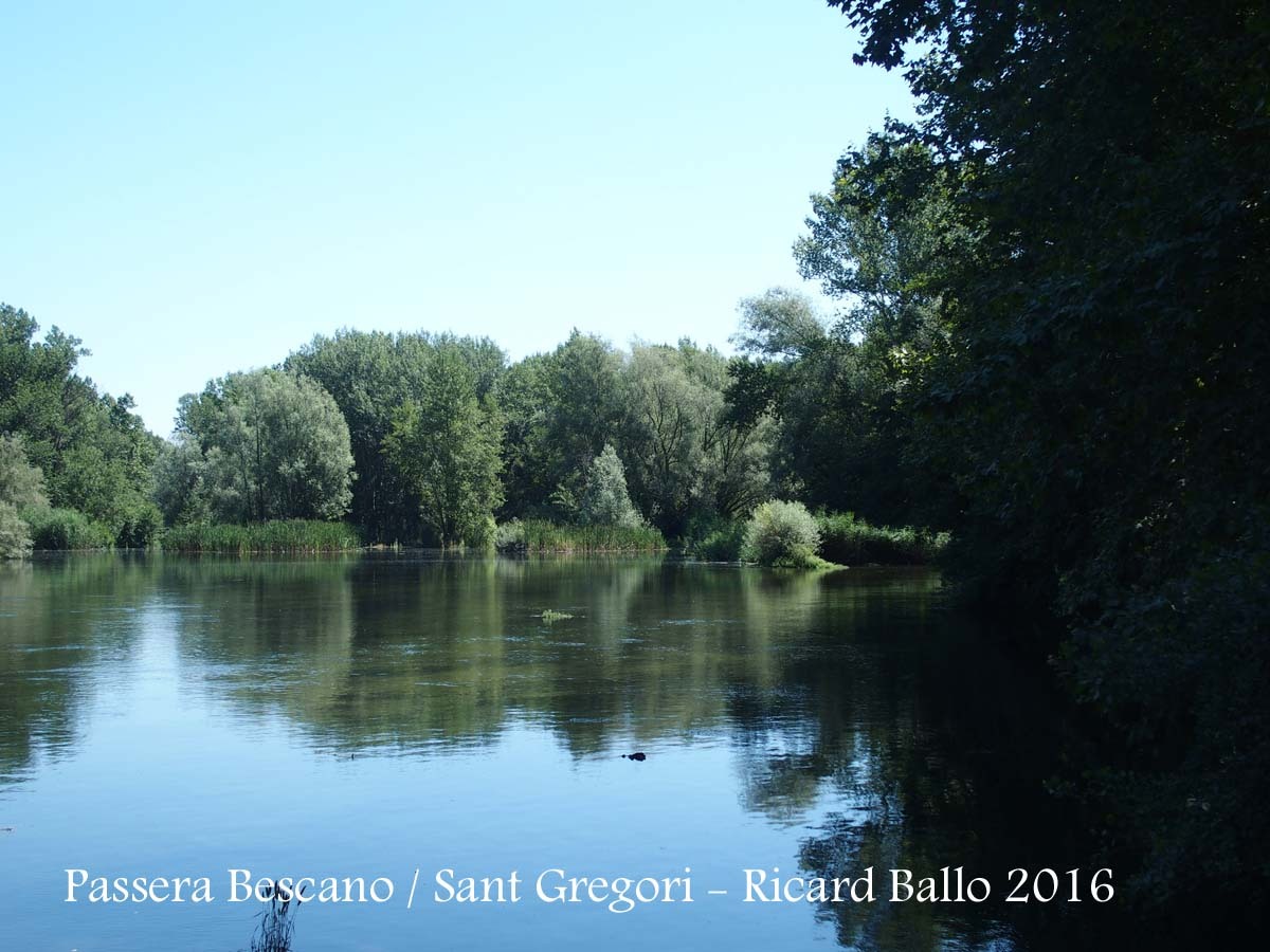 Passera entre Sant Gregori i Bescanó – Bescanó