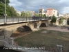 Pont de Manlleu – Manlleu