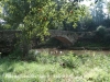 Pont de Torruella – Gurb