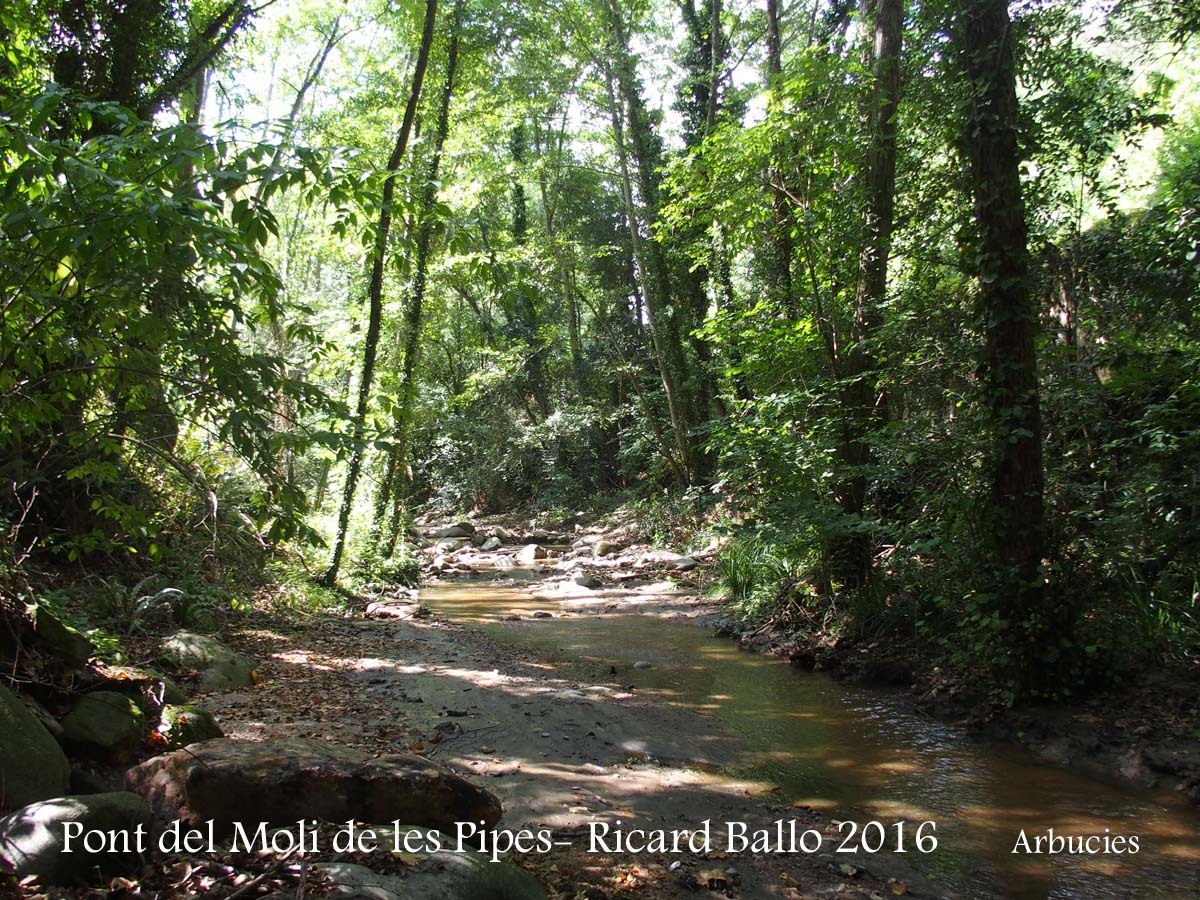 Pont del Molí de les Pipes – Arbúcies - Riera d'Arbúcies