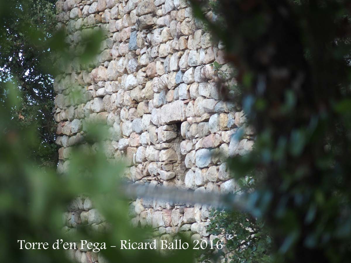 Torre d’en Pega – Riells i Viabrea - Fotografia obtinguda passant l'objectiu de la màquina de fotografiar entre mig del filat de la porta d'entrada a la finca