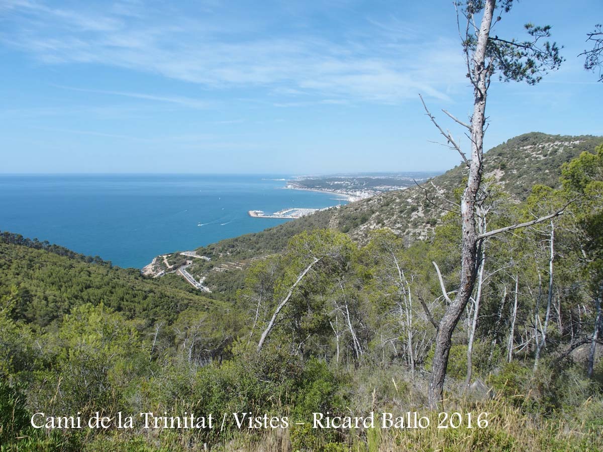 Vistes des del camí de la Trinitat