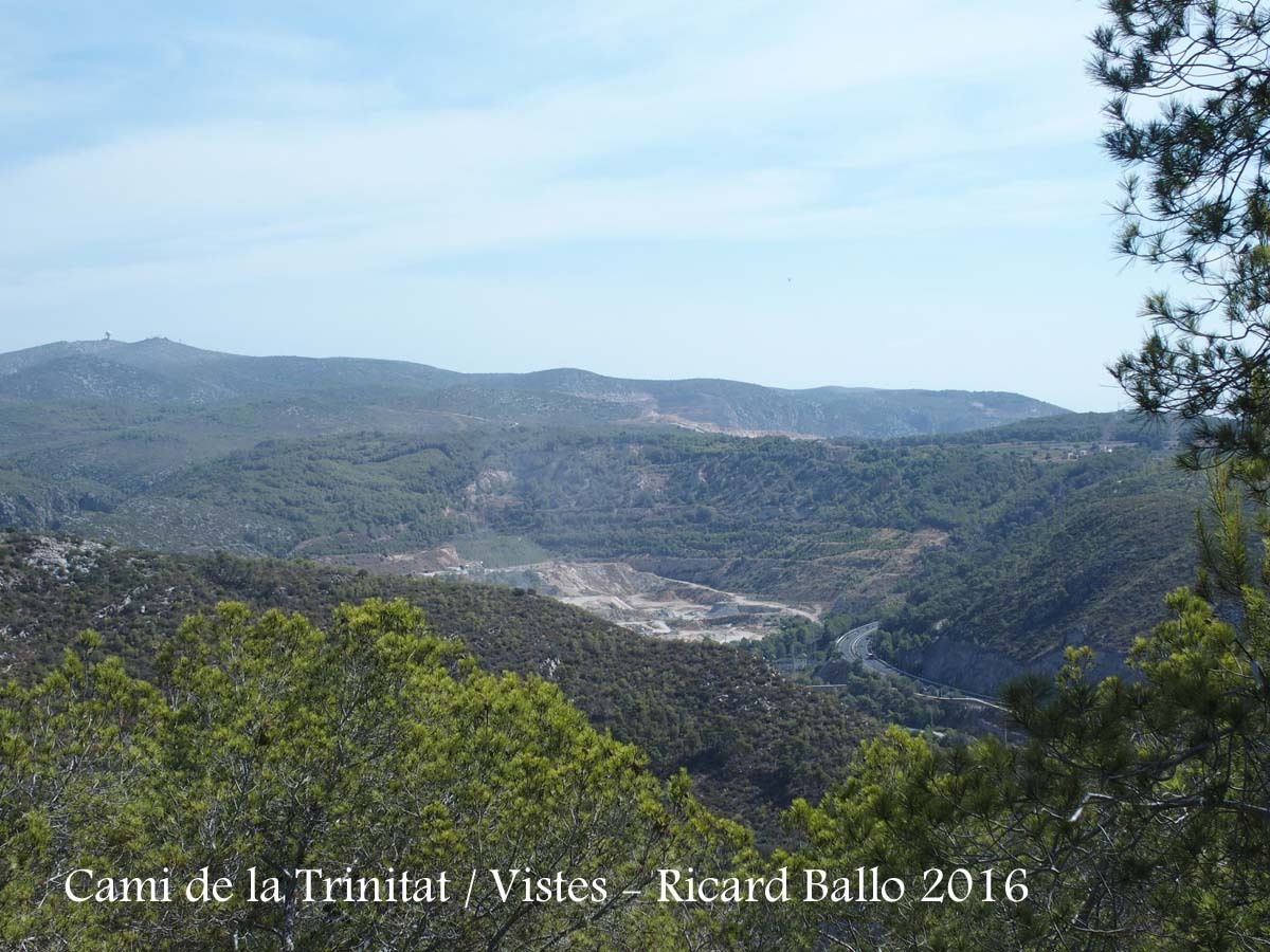 Vistes des del camí de la Trinitat