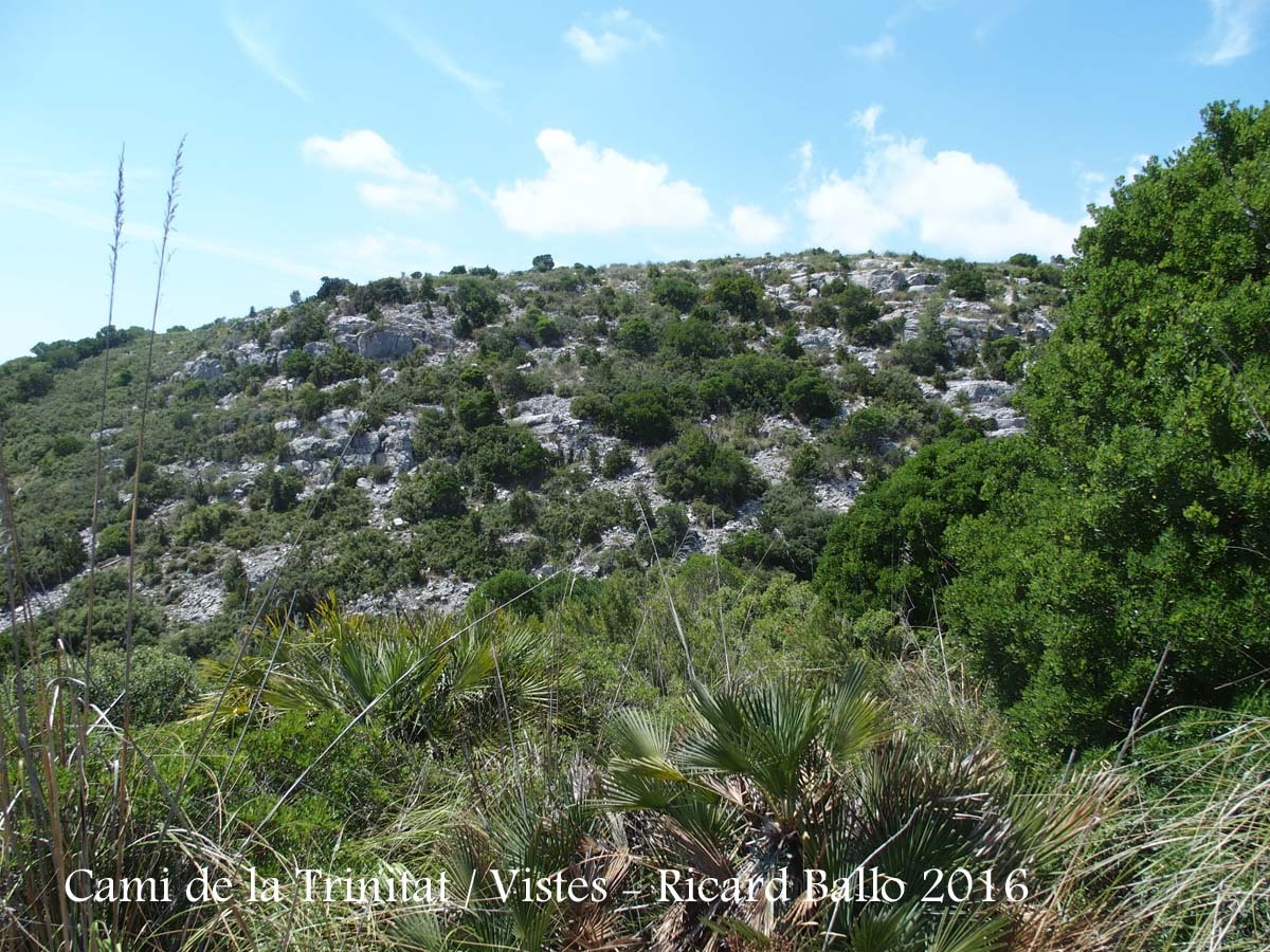 Vistes des del camí de la Trinitat