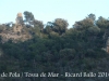 Agulla de Pola – Tossa de Mar - Entorn - Vista general