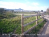 Anell verd - Sant Boi de Llobregat. Al fons de la fotografia es veuen els habitatges  de la "Ciutat Cooperativa".