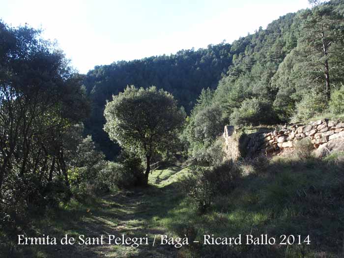 Santuari de la Mare de Déu de Paller - Camí a Sant Pelegrí.