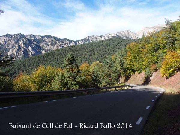 Baixant de Coll de Pal