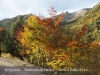 Berguedà - Simfonia de tardor