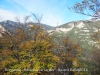 Berguedà - Simfonia de tardor