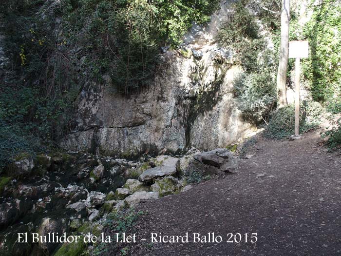 Bullidor de la Llet