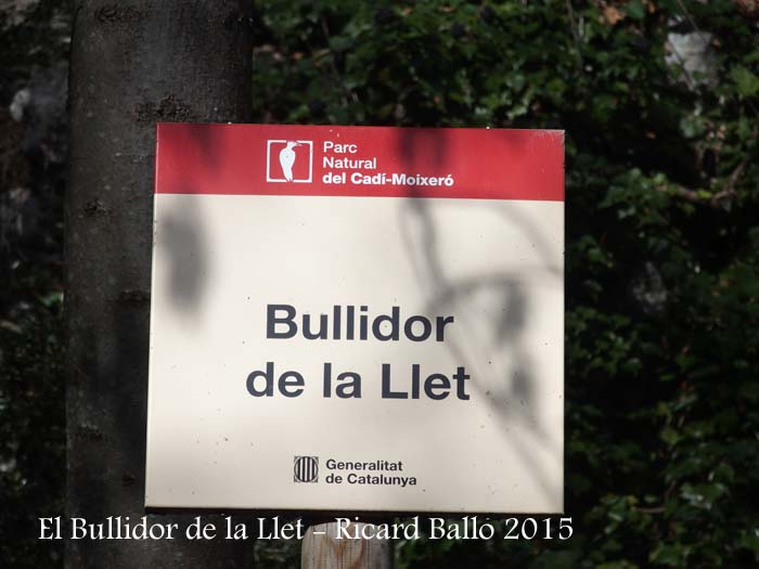 Bullidor de la Llet