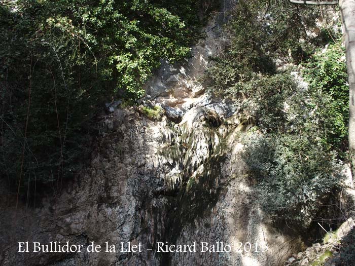 Bullidor de la Llet