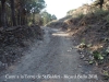 Camí a laTorre de Sant Baldiri de Taballera – Port de la Selva