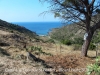 Camí a laTorre de Sant Baldiri de Taballera – Port de la Selva