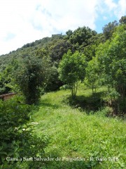 Camí a l'Església de Sant Salvador de Puig-alder