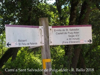 Camí a l'Església de Sant Salvador de Puig-alder