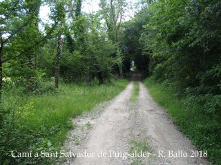 Camí a l'Església de Sant Salvador de Puig-alder