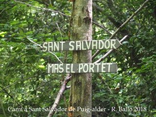 Camí a l'Església de Sant Salvador de Puig-alder