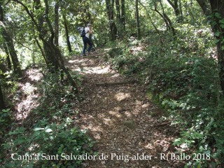 Camí a l'Església de Sant Salvador de Puig-alder