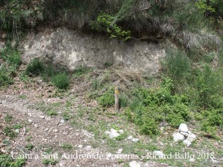 Camí a Sant Andreu de Porreres