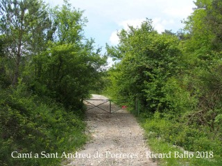 Camí a Sant Andreu de Porreres