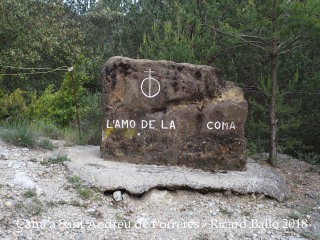 Camí a Sant Andreu de Porreres