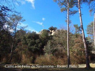 Camí a  Sant Feliu de Savassona