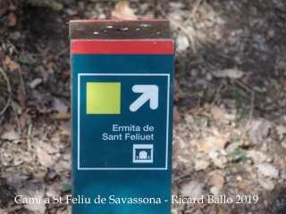 Camí a  Sant Feliu de Savassona