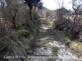 Camí a  Sant Feliu de Savassona