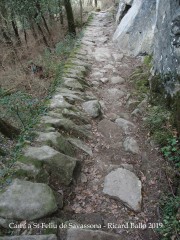 Camí a  Sant Feliu de Savassona