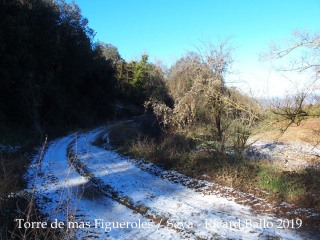 Camí al mas Figueroles