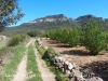 Camí al Pont Vell – Capafonts