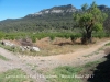 Camí al Pont Vell – Capafonts