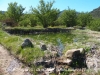 Camí al Pont Vell – Capafonts