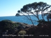 Camí de Ronda – Platja de Sant Pol / Sant Feliu de Guíxols – Platja de Sa Conca / S’Agaró