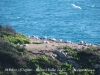 Camí de Ronda – Platja de Sant Pol / Sant Feliu de Guíxols – Platja de Sa Conca / S’Agaró