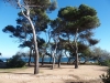 Camí de Ronda – Platja de Sant Pol / Sant Feliu de Guíxols – Platja de Sa Conca / S’Agaró