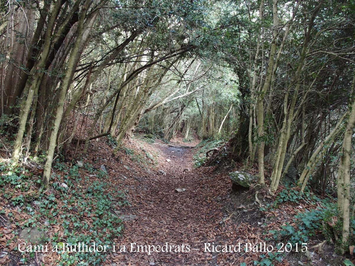 Camí als Empedrats i al Bullidor