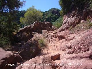 Bruguers - Gavà - Inici del camí al castell de'Eramprunyà.