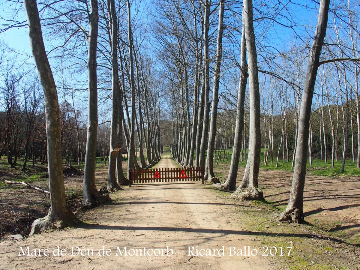 Camí d'accés a la Capella de la Mare de Déu de Montcorb – Riudarenes