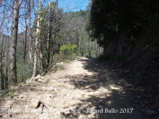 Camí a la Capella de la Mare de Déu del Part – Osor