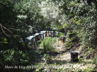 Camí a la Capella de la Mare de Déu del Part – Osor