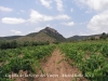 Capella de la Verge del Vinyet – Castellví de la Marca - Al fons de la fotografia, al cim del turó, el castell de Castellvell de la Marca i la capella de Sant Miquel.