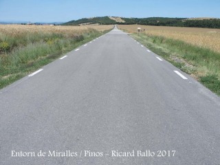 Entorn de Miralles