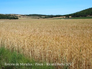 Entorn de Miralles