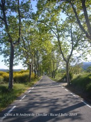 Capella de Sant Andreu de l’Avellà – Font-rubí - Itinerari - Carretera. BP-2126, una carretera de les "d'abans", amb plataners a banda i banda ...