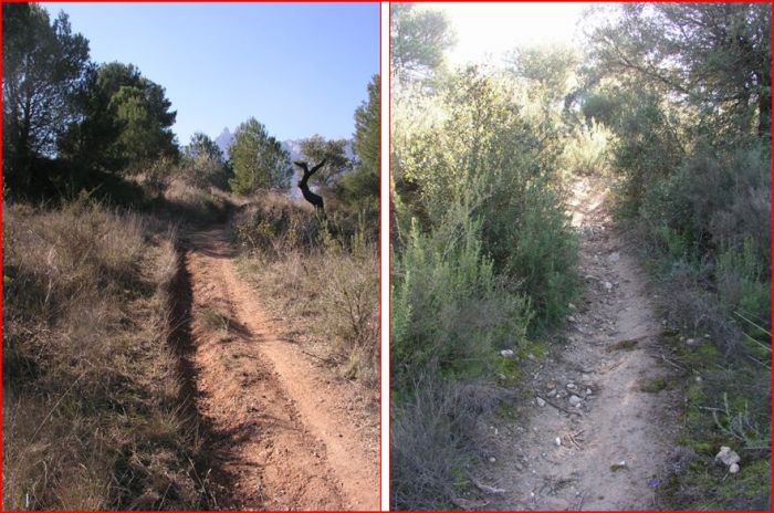 Capella de Sant Antolí – Monistrol de Montserrat - Itinerari. - Unes mostres del camí d'accés a peu a la capella.